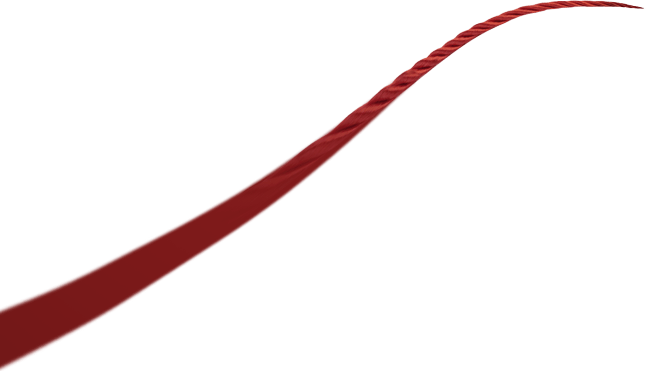 Tongxiang Baoyi Textile Co, Ltd.